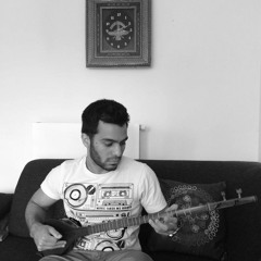 Setar 'Solo' - Charmezraab Master Zolfonoun