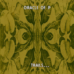 Trails Of An Ever Dissolving Timeframe