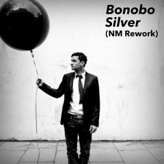 Bonobo - Silver (NM Rework)