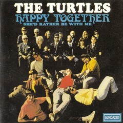 Turtles - Happy Together (CubixRube Bootleg)*FREE DL*