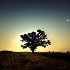 Randy Wild - När Du Är Vaken