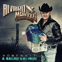 Alvaro Montes y Su Aguila Nortena Sufro Por Ti