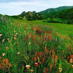 Camel Crock – 3 months of summer