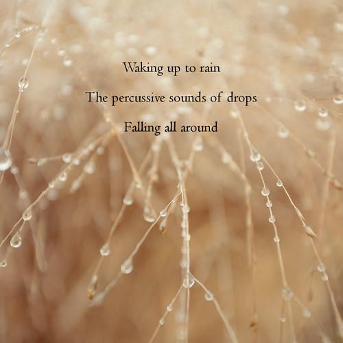 Waking Up Somewhere Else [Naviarhaiku031 - Waking Up To Rain]
