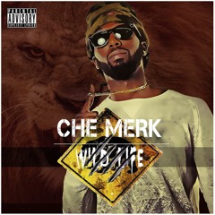 Che Merk - Mr Mellow (Prod x EnDuhStreatz)