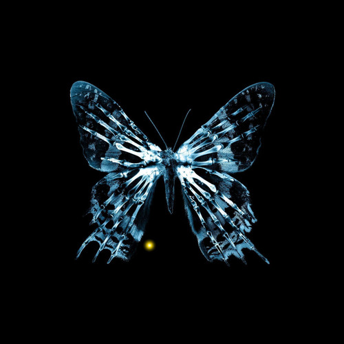 Stream Smile.Dk - Butterfly (Remix) by Nightfall313 | Listen online for ...