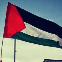 Acapela barz Freee freee palestine