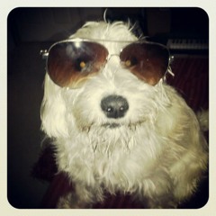 "This is the best CD I own"