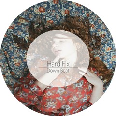 Down Beat EP - Hard Fix
