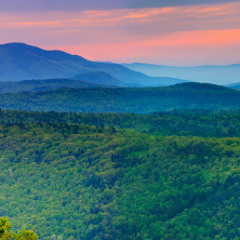 Dreaming of Pink Mists of Xanadu (Jul 2014)