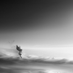 FELT - Sky Gate