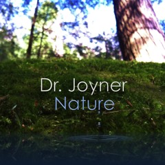 13. Spirit Wind  (free download of entire album at www.drjoyner.net)