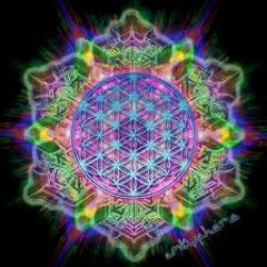 Dub Faction 8 - 10 - 4 - Fly Paper