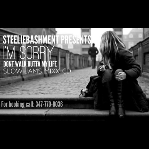 IM SORRY THE SLOW JAM EDITION MIX CD