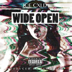 WideOpen | Prod. PurpDogg