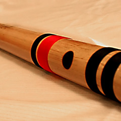 Zara Zara Flute Cover