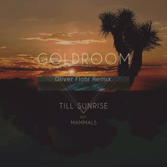 Goldroom - Till Sunrise feat. Mammals ( Oliver Flohr Remix )