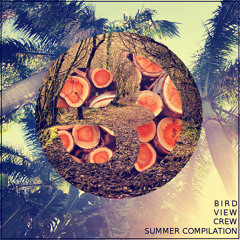 Glass Wings [BirdviewCrew Summer Compilation]