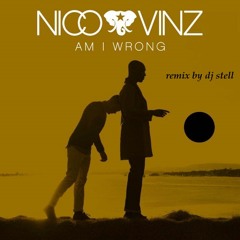 Nico&Vinz - Am I Wrong Dj STELL Remix House Beat Future