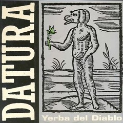 Datura - Yerba Del Diablo Part II Remix (Orixa)