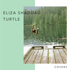 Eliza Shaddad x Turtle - Driftwood (Travis Cover)