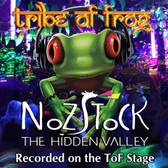 Vagrant Misfit - Recorded at Nozstock 2014 - Friday