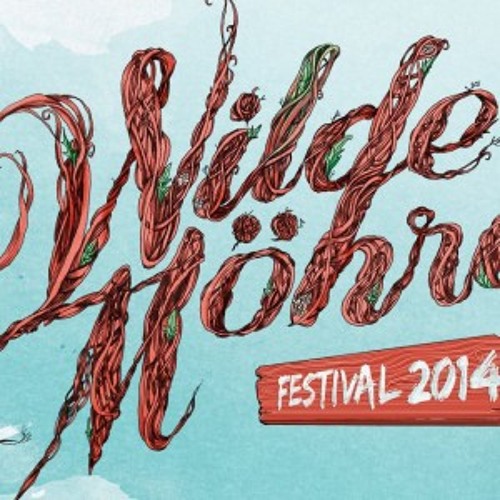 Wilde Möhre 2014 Festival Sets