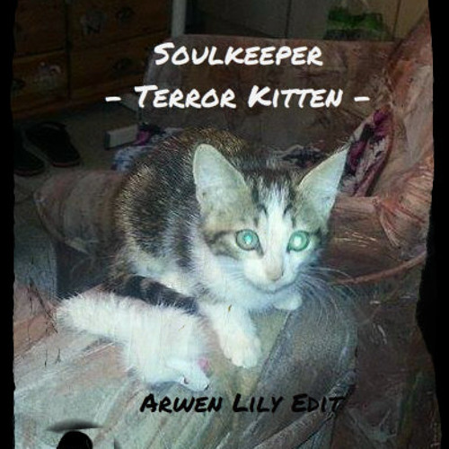 Soulkeeper - Terror Kitten (Arwen Lily Edit)