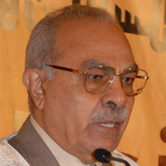 الناسخ والمنسوخ في القرآن - د. محمد عمارة