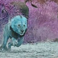 In My B-Free Stance - Mother Tareka & The Rebel Funktion - In The Key Of The So-Called Free