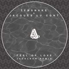 Tensnake & Jacques Lu Cont - Feel Of Love (JackLNDN Remix)