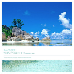 What You Need (Summer Mix)