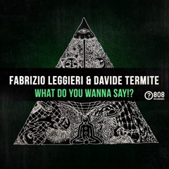 Fabrizio Leggieri, Davide Termite - What Do You Wanna Say