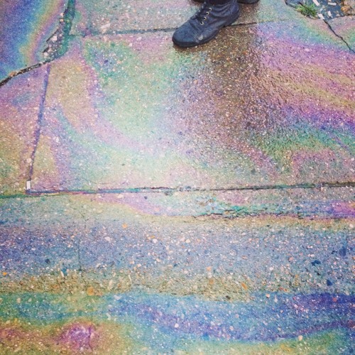 i want to be alone vashti bunyan cover