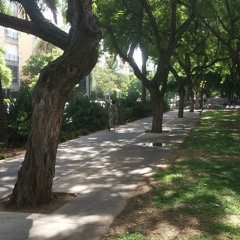 Boulevard walk