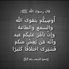 العلاّمة صالح الفوزان: الخوارج كان عندهم غيرة ودين وعبادة ولكنهم ليسوا على فقهٍ في دين الله..