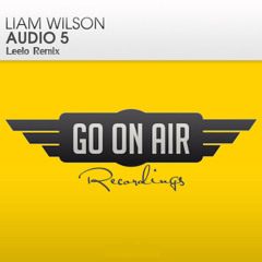 Liam Wilson- Audio5 (Leelo Remix)