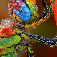 bounce love ,,,,,, <3