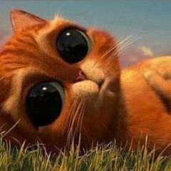 Regresa Ami. Ft Mr Adek (AvClan)