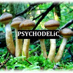 PSYCHODELiC [ORiGiNVL TRVP]