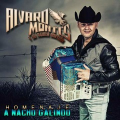 Alvaro Montes Homenaje A Nacho Galindo CD Mix Por DjCrazy Mix
