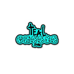 TealCheese.com & discoSWAG.com MIXTAPE #1: Phoenix Jagger