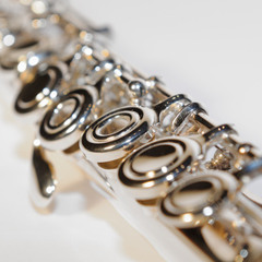 New World Sound & Thomas Newson- Flute (R3MAKE)