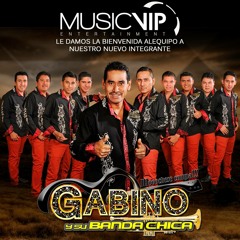 EL DESPRECIADO BANDA 1