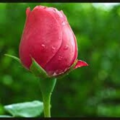 Club Eighties ( Dari Hati)