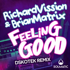 Richard Vission & Brian Matrix - Feeling good (DSKOTEK remix)
