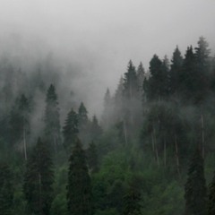 RUNNING + delta spirit