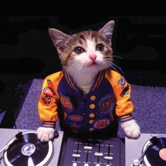 Best Ttacks and playlists