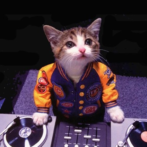 Best Ttacks and playlists