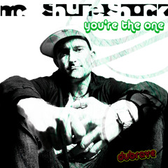 You're The One(Grimace Dubstep Remix)MC Shureshock